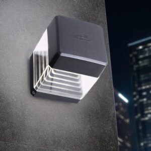 Ester  Black Clear LED 10W CCT Wall  Light