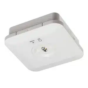 Sentinel Pro Surface Emergency LED Downlight