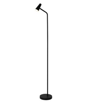 Rechargeable Floor Lamp, Black Metal
